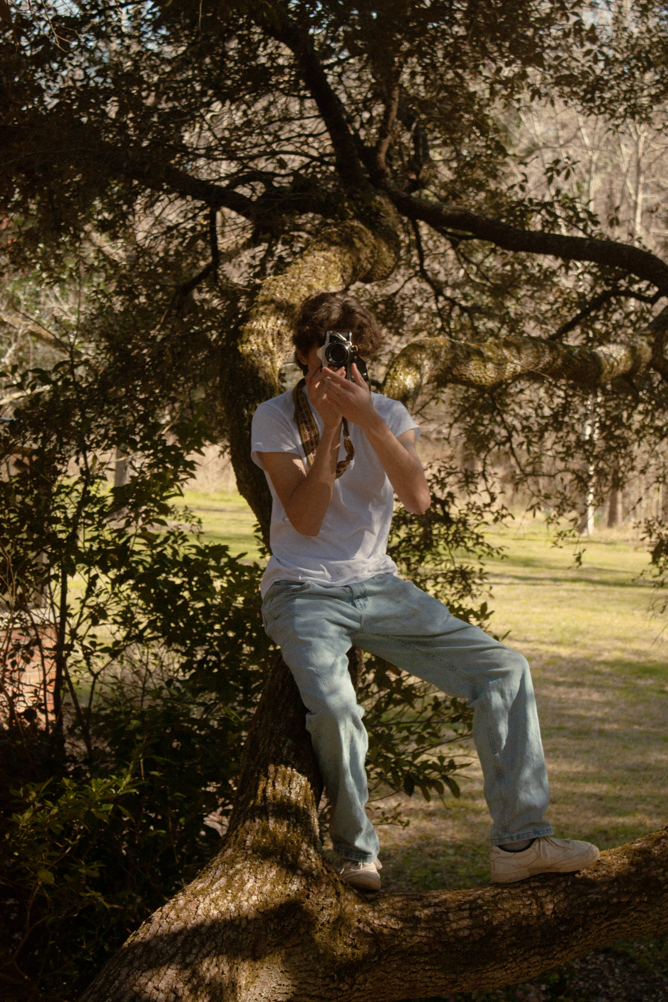 camera in a tree