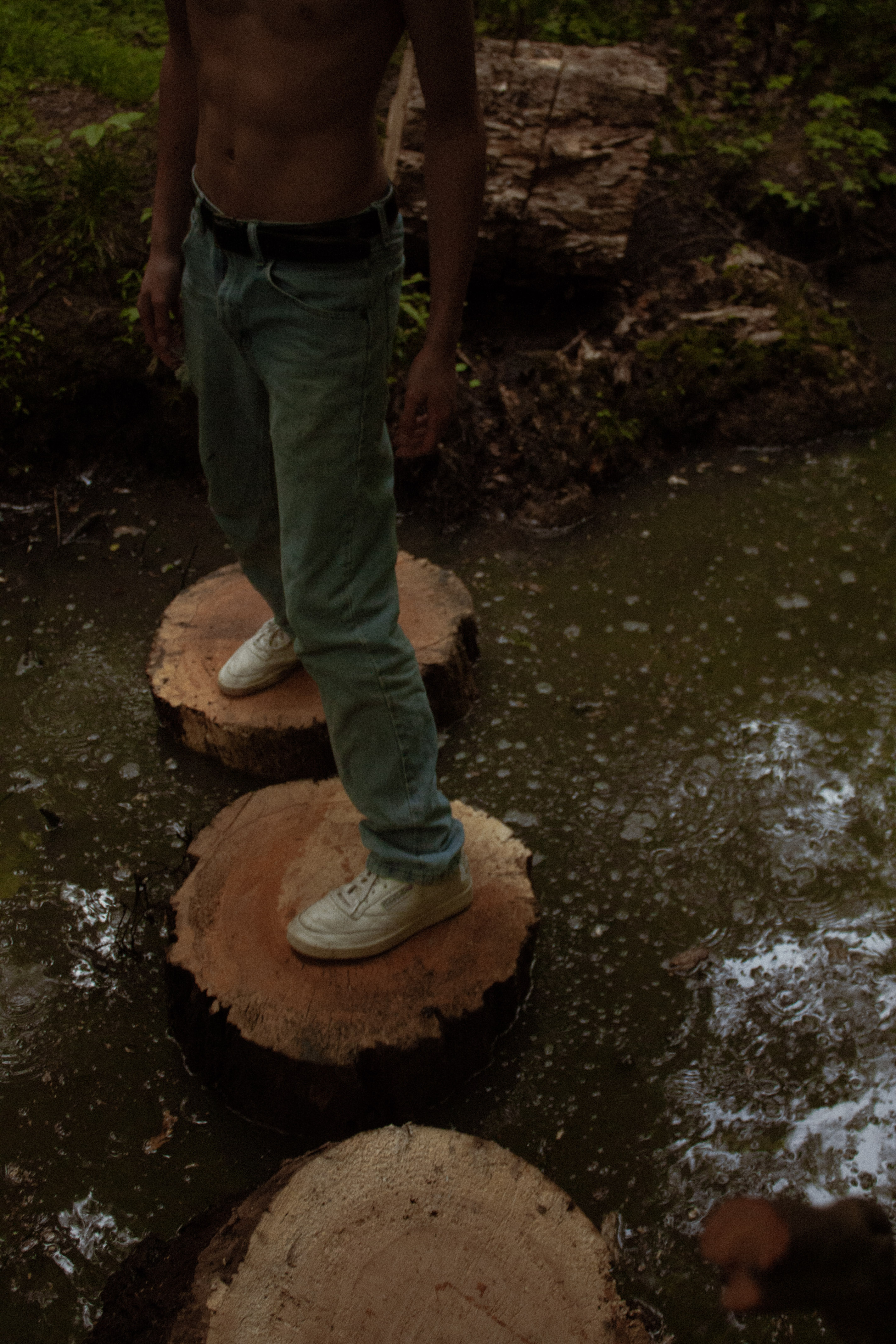 log bridge